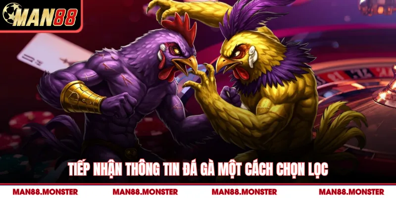 Tiếp nhận thông tin đá gà một cách chọn lọc